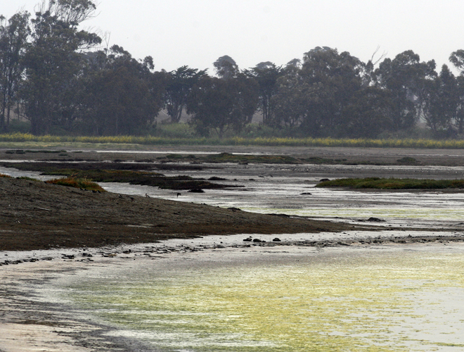 elk slough santa cruz