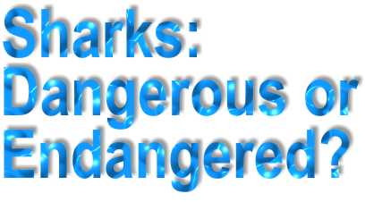 Sharks: Dangerous or Endangered?