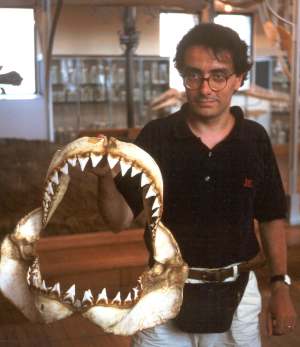 The author displays the jaws of an 18-foot great white shark caught off Martigues, France. The jaws are preserved at the Oceanographic Museum of Monaco.
ALESSANDRA BALDI / PERMISSION FROM MUSE OCANOGRAPHIQUE DE MONACO